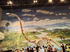 -自贡恐龙博物馆
