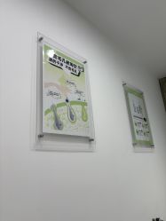 -凡碧诗毛孔清洁收细