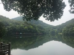 -白马涧龙池景区