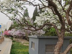-建国门(地铁站)