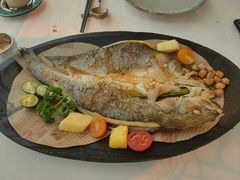 -龟兹KUCINA·新疆菜(前滩L+PLAZA店)