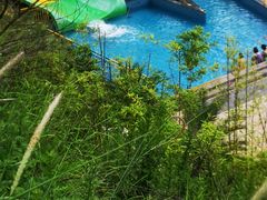 -青鱼湾水上乐园