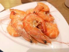 -长春高新益田福朋喜来登酒店·宜客乐标帜餐厅