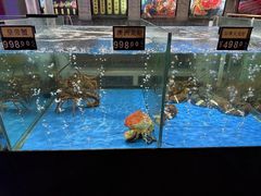 -蟹之国·精品蟹料理(极地店)