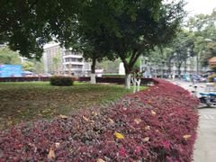 -四川大学(华西校区)