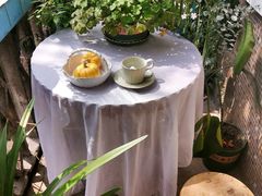 -知物癖(牛王庙店)
