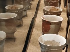 -盘龙城遗址博物院
