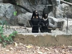 -清迈夜间动物园