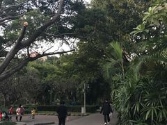 -晓港公园