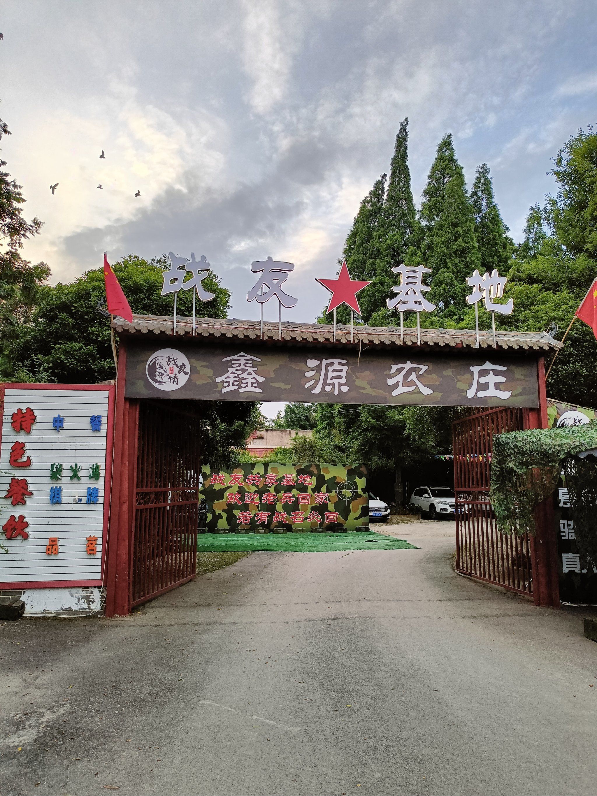 一片绿意盎然的好地方