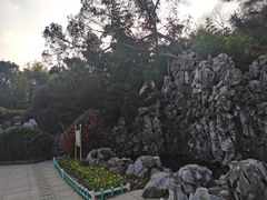 -菊花台公园