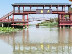 -微山湖红荷湿地景区