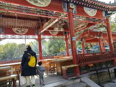 -尚庄度假村·庭台树下·户外烧烤·团建CS·轰趴营地(上庄水库店)