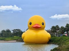 -深圳人才公园