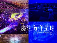 -海合安天津极地海洋公园