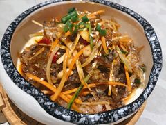 凉拌鱼皮-如轩·海鲜砂锅粥·潮汕菜(南城店)