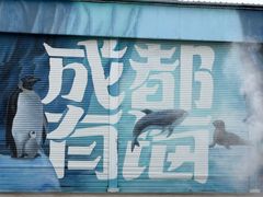 -海合安成都极地海洋公园