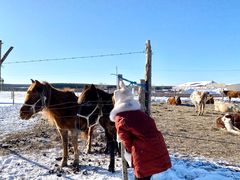 -塞罕坝国家级自然保护区