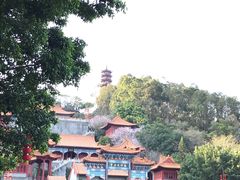 -南沙天后宫景区