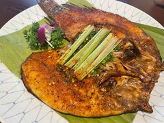 -紫滇源云南生态菜(丹凤街店)