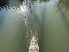 -重元寺香积厨素斋馆