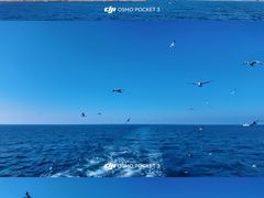 -海驴岛(荣成市)