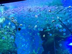 -波塞冬海底世界