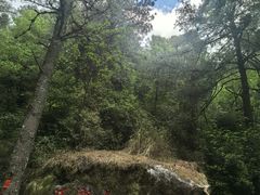 -苍山感通索道