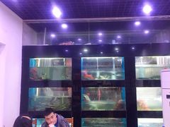 -全乐鱼馆·淳牌有机鱼直营店