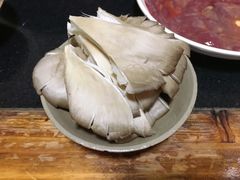 平菇-肥龙火锅(南坪店)