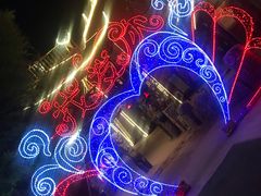 -呀路古热带植物园