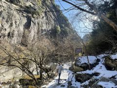 -青峰峡国家森林公园