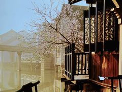 -荷塘秋月·本帮江浙菜(国权路店)