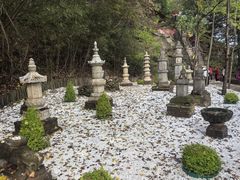 -少华山国家森林公园