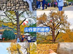 -四明山国家森林公园