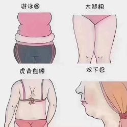 -香薇妮丝女子减肥院