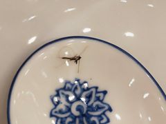 -纳福苑(亮庆餐饮分店)