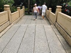 -晓港公园