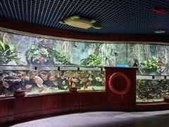 -太平洋海底世界