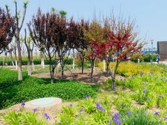 -东疆建设开发纪念公园