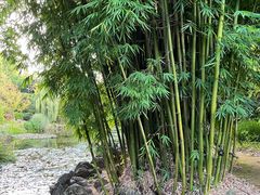 -昆明植物园