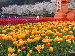 -苏州上方山国家森林公园