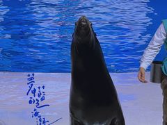 -波塞冬海底世界
