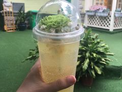 -苏小糖(鼓浪屿三丘田花园店)