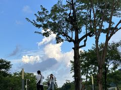 -白石龙音乐公园