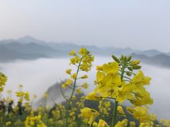 -石潭村