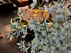 -MAAN COFFEE(金桥店)