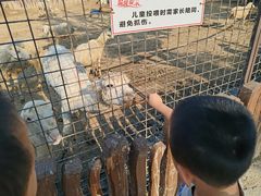 -太原动物园