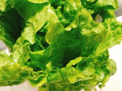 -古乐牛香·鲜牛肉牛杂火锅(新区店)