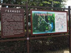 -广东大峡谷